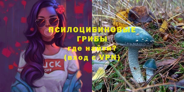 не бодяженный Алексин
