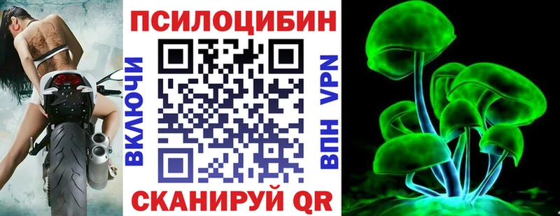 Псилоцибиновые грибы MAGIC MUSHROOMS цены Пушкино
